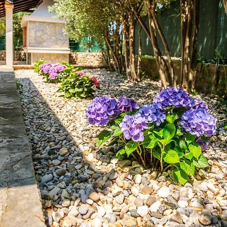 Anda - Kuca Za Odmor * Milna (Brac)