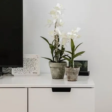 Ferienhaus Anda - Kuca Za Odmor *