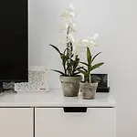 Feriehus Anda - Kuca Za Odmor *